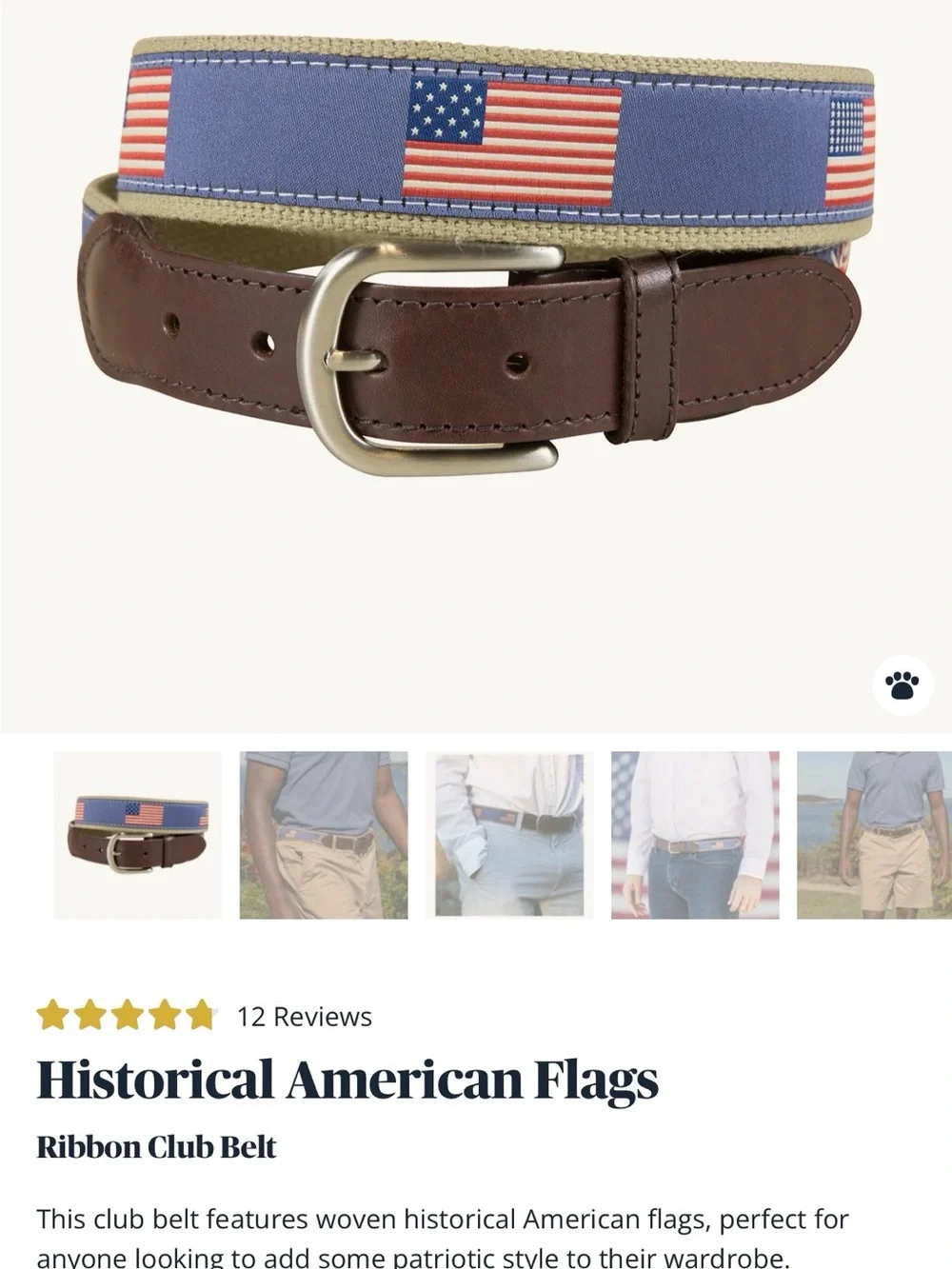 Woven American Flag Club Belt - Brown & Blue